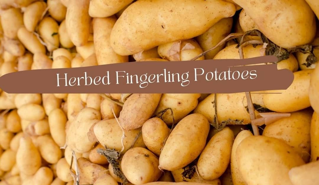 Herbed Fingerling Potatoes