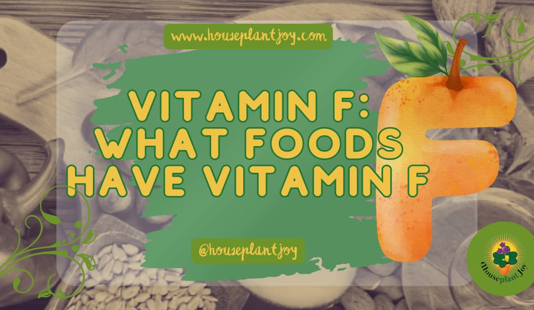 Vitamin F: What Foods Have Vitamin F