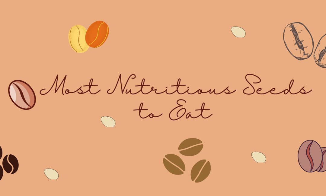 Most Nutritious Seeds to Eat- Our Top 6