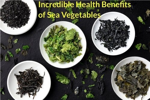health benefits of sea vegetables