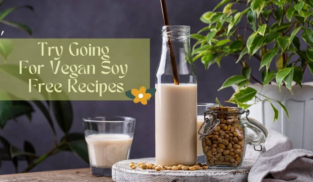 Try Going For Vegan Soy Free Recipes