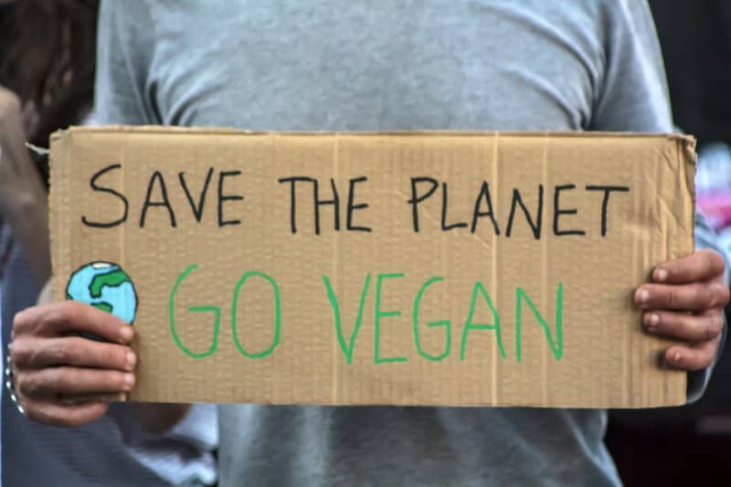 is vegan better for the environment