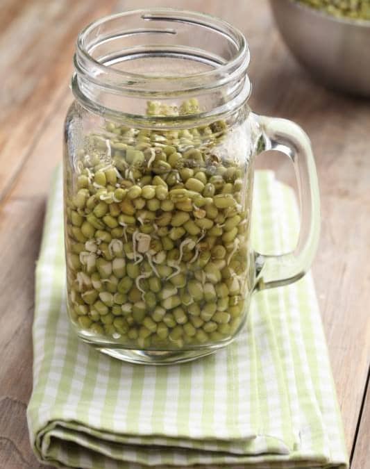 Mung Bean Sprout Nutrition Is Helpful
