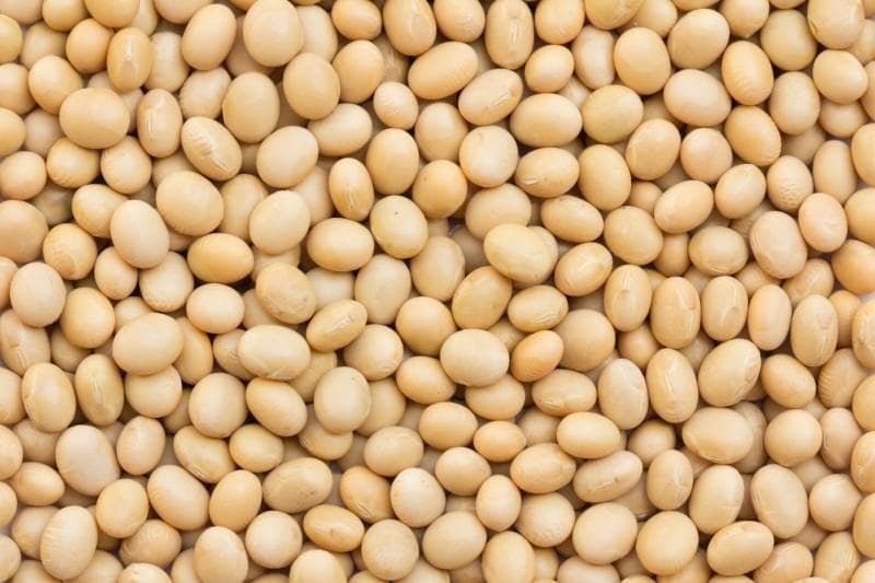 Is Soy Bad For You? Get Facts