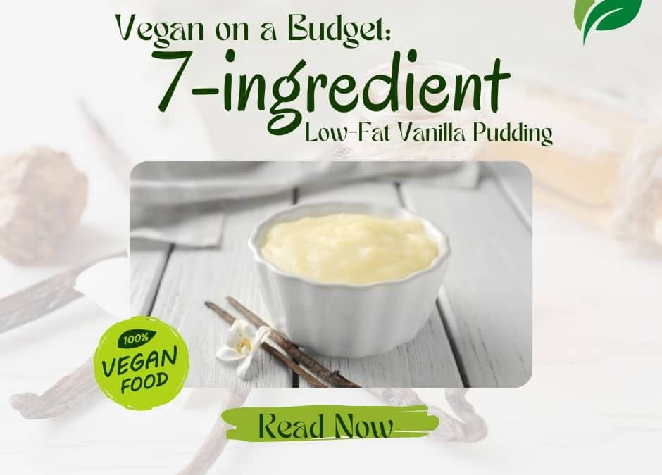 Vegan on a Budget 7-ingredient Low-Fat Vanilla Pudding