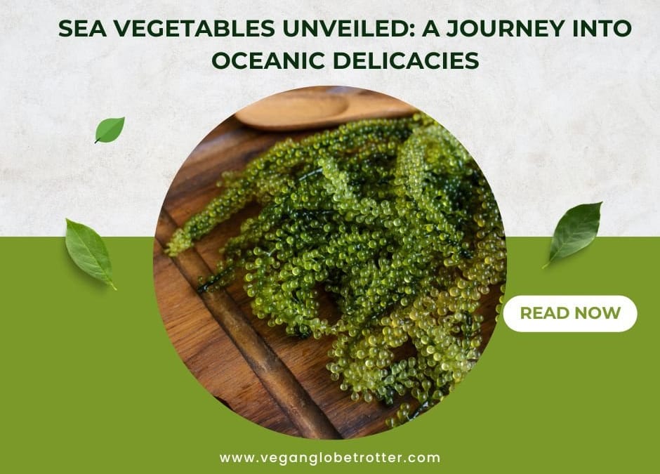 Sea Vegetables Unveiled: A Journey into Oceanic Delicacies