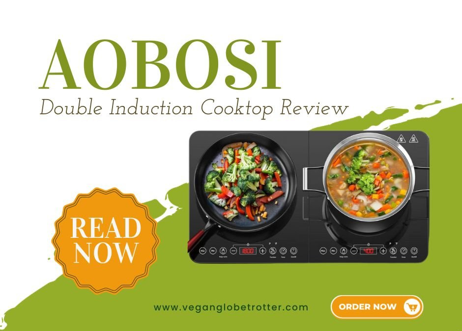 Aobosi Double Induction Cooktop Review