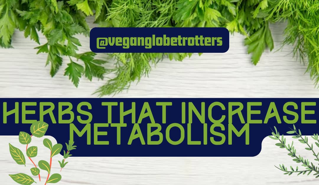 Herbs That Increase Metabolism