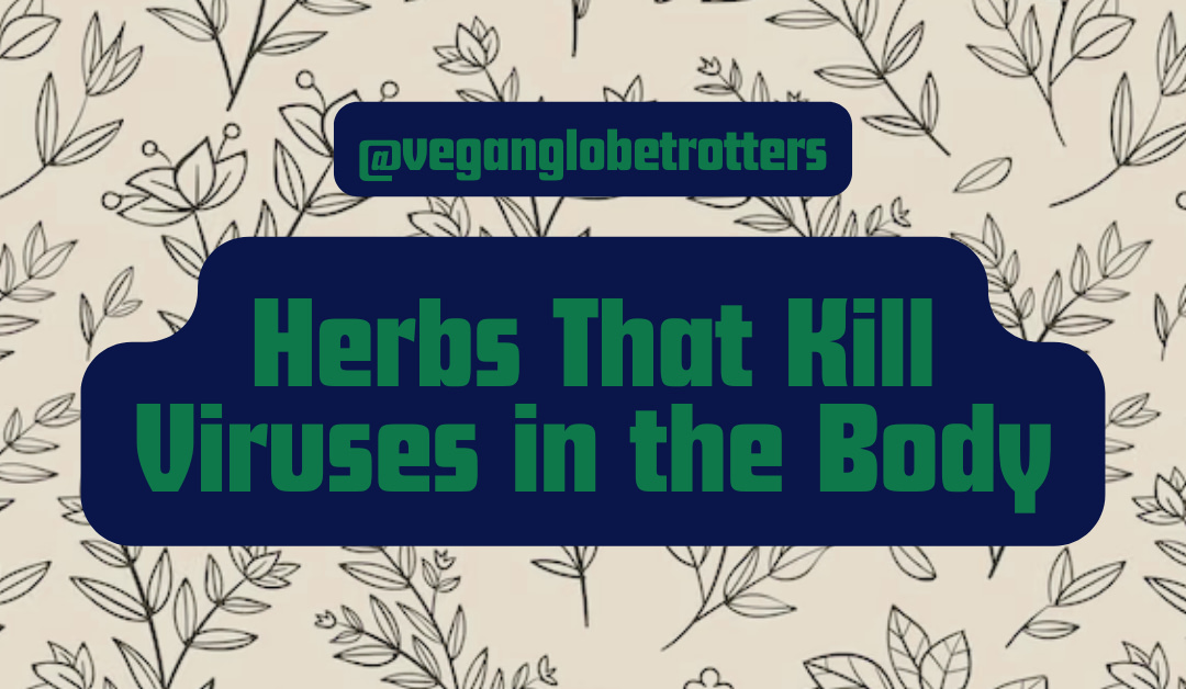 Herbs That Kill Viruses in the Body