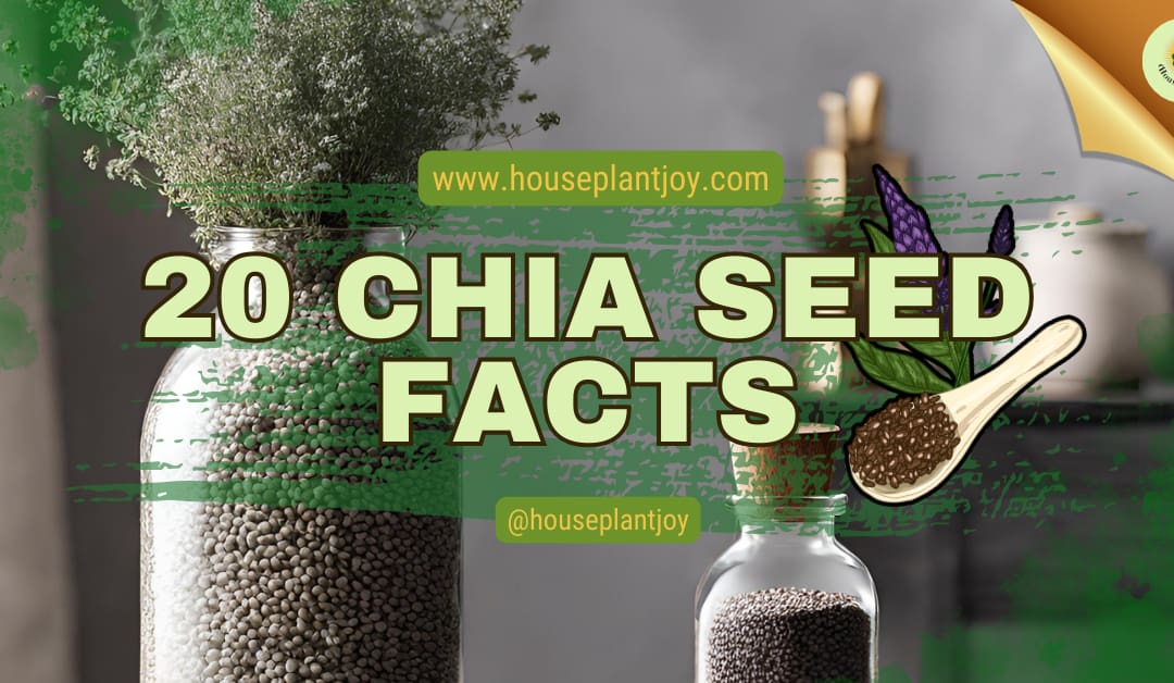 20 Chia Seed Facts