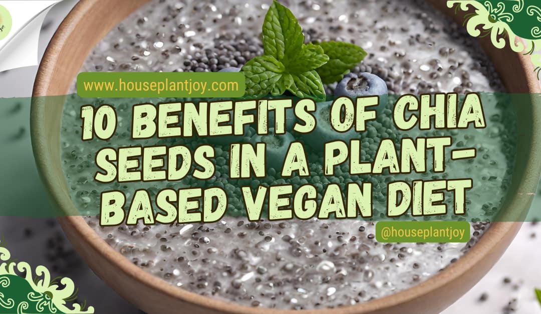10 Benefits of Chia Seeds in a Plant-based Vegan Diet