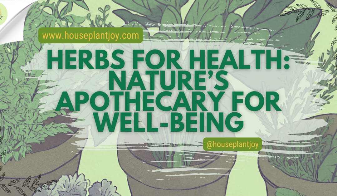 Herbs for Health: Nature’s Apothecary for Well-Being