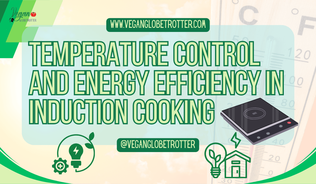 Temperature Control and Energy Efficiency in Induction Cooking