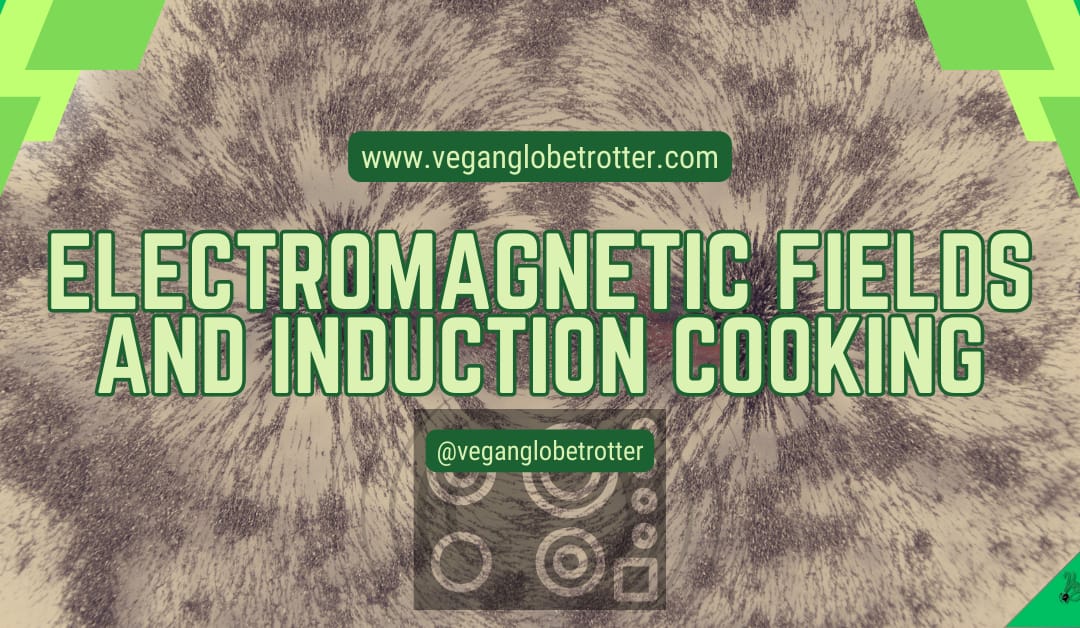 Electromagnetic Fields and Induction Cooking