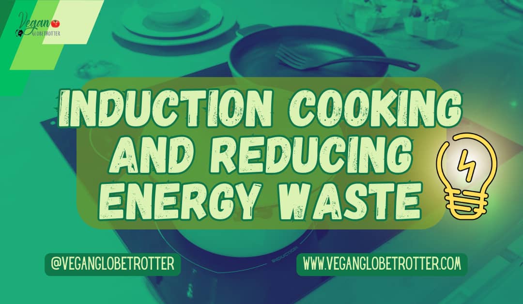Induction Cooking and Reducing Energy Waste