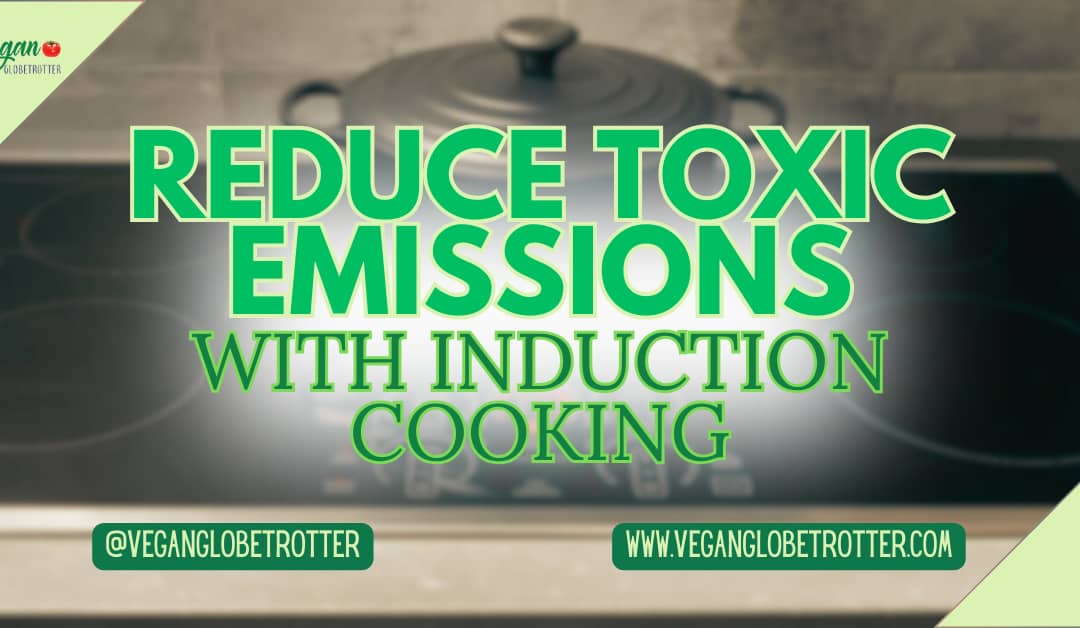 Reduce Toxic Emissions with Induction Cooking