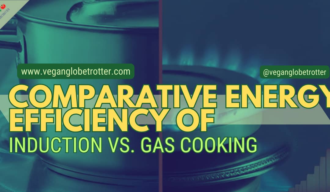 Comparative Energy Efficiency of Induction vs. Gas Cooking