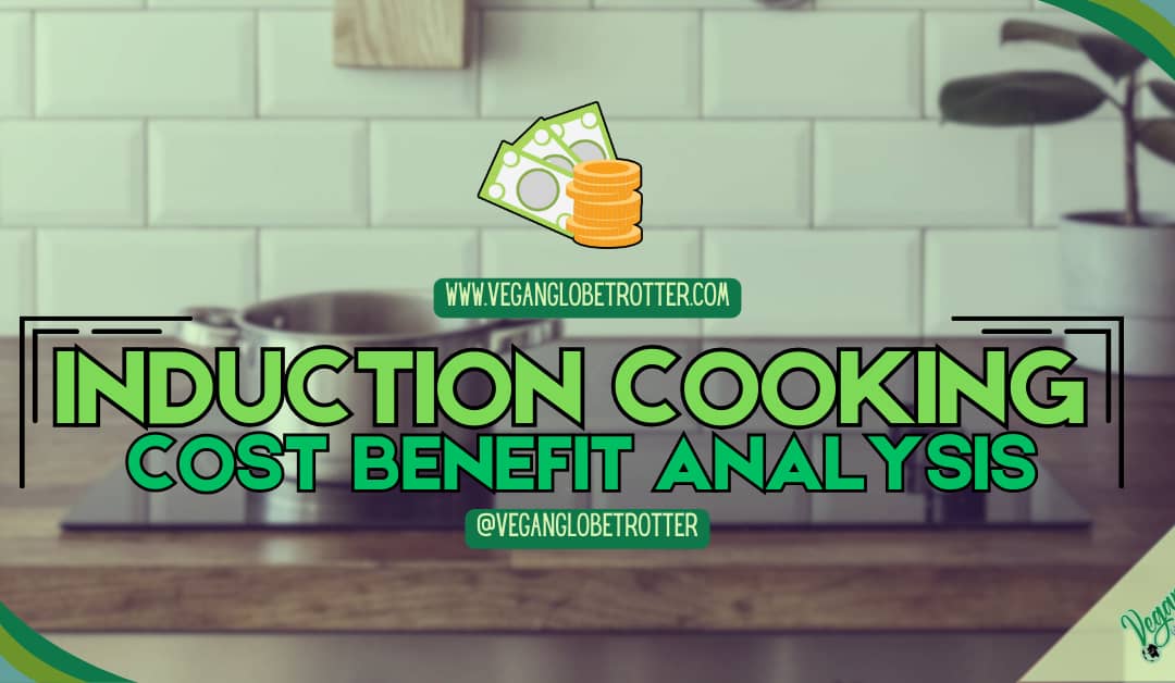 Induction Cooking Cost Benefit Analysis