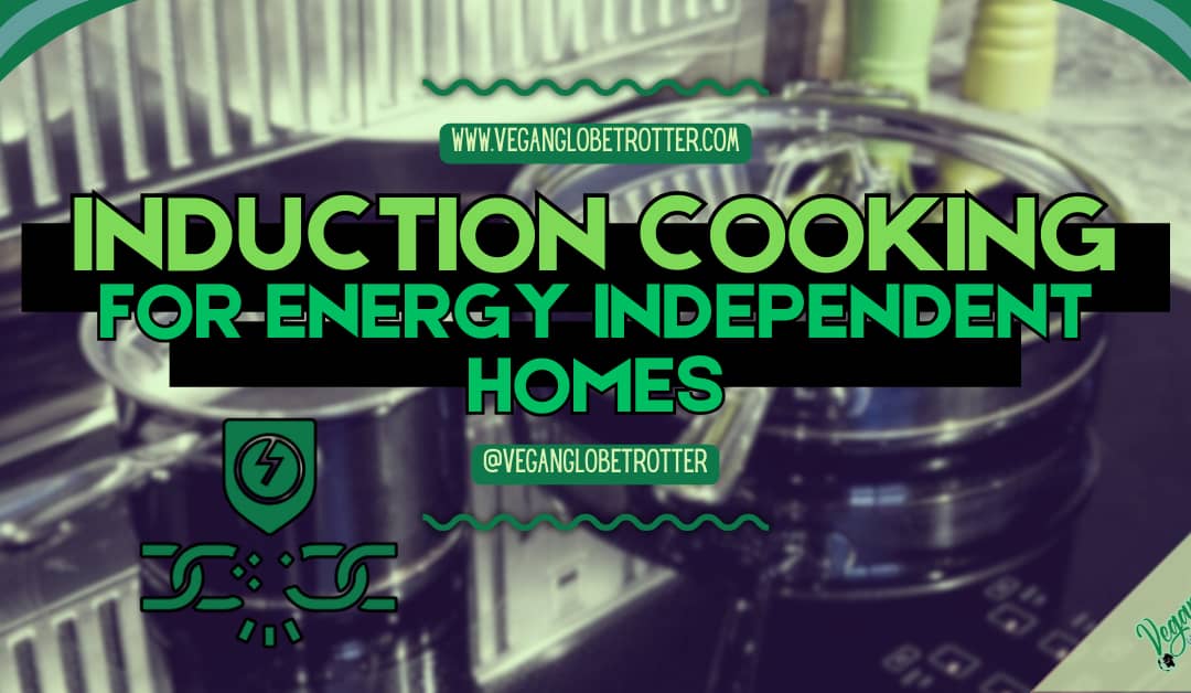Induction Cooking for Energy Independent Homes
