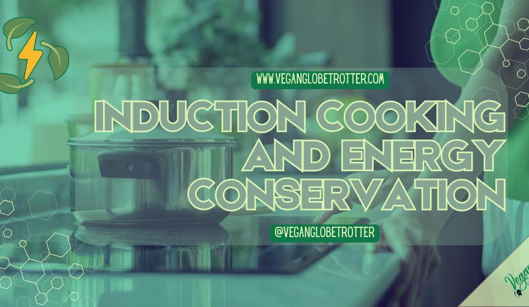 Induction Cooking and Energy Conservation