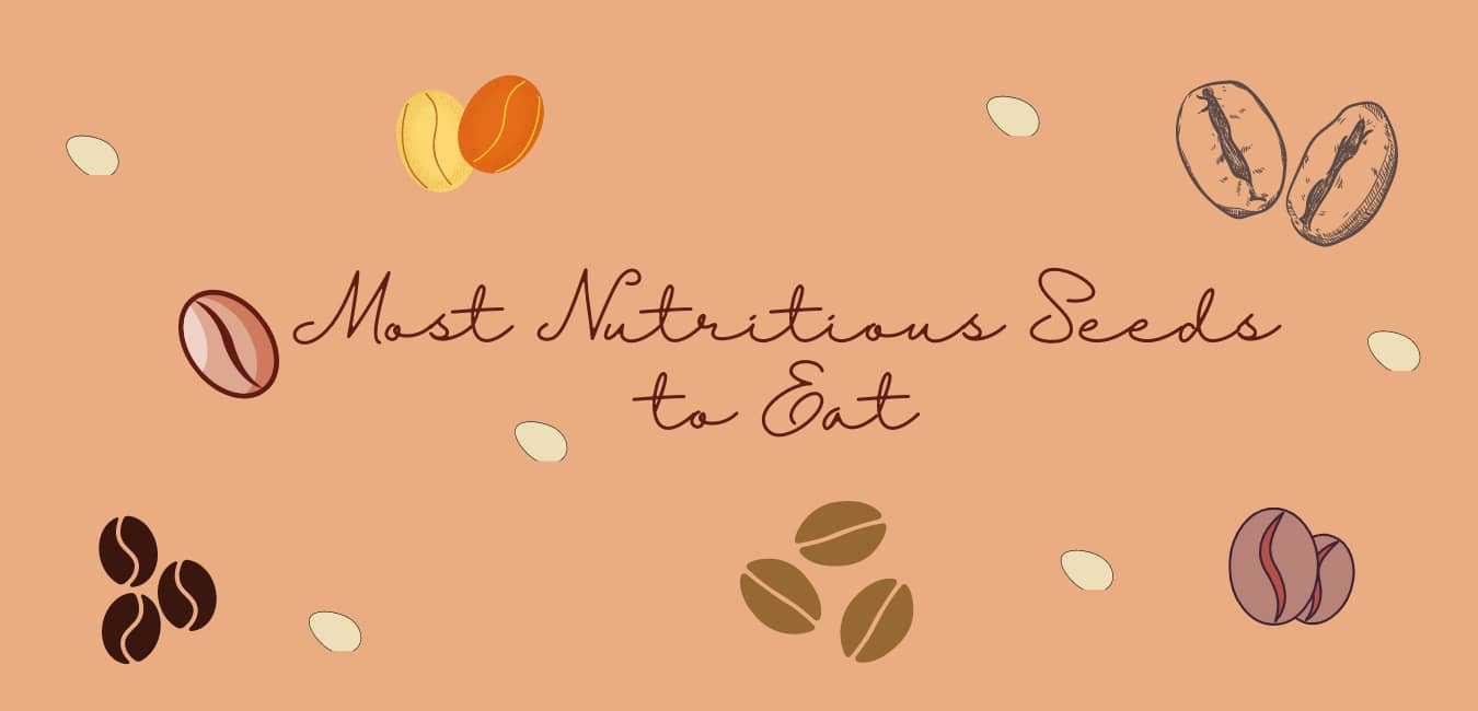 healthy Most Nutritious Seeds to Eat- Our Top 6