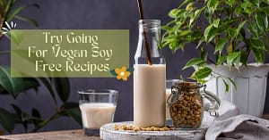 Try Going For Vegan Soy Free Recipes