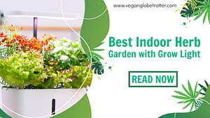 Best Indoor Herb Garden with Grow Light