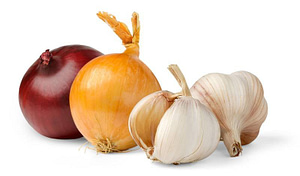 Two heads of garlic and onions of different colors