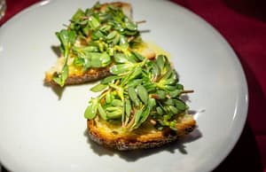 fresh baked bread with olive oil and green portulaca purslane salad