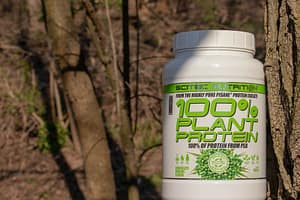 vegan diet to build muscle