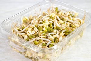 why are my bean sprouts bitter