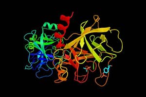 protease enzyme trypsin that hydrolyzes protein