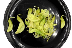 boiled green agati