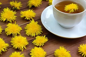 Dandelion, yellow, fresh, tea