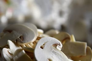 cook mushrooms
