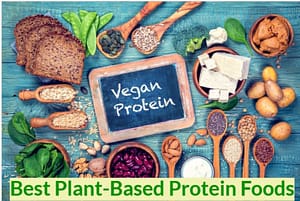 best plant-based protein foods