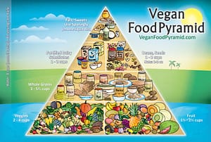 vegan diet health benefits, focus on health