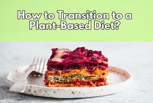 transition to plant-based diet