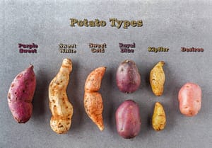 vegan fall recipe