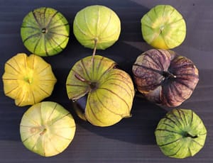 Tomatillos on a wooden board