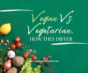 Vegan Vs Vegetarian, How They Differ