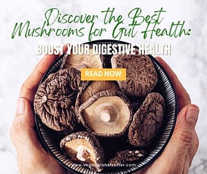 Discover the Best Mushrooms for Gut Health Boost Your Digestive Health