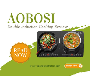 Aobosi Double Induction Cooktop Review