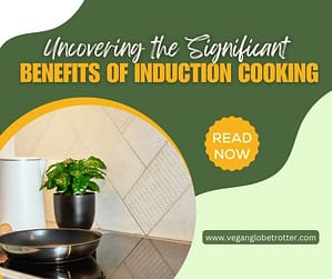 Uncovering the Significant Benefits of Induction Cooking