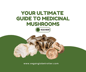 Your Ultimate Guide to Medicinal Mushrooms