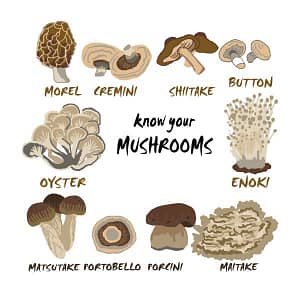 different types of mushrooms