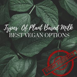I will show you the best types plant-based milk which are all vegan friendly!
