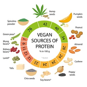 plant-based protein foods