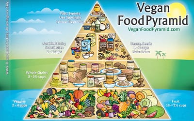 vegan diet health benefits, focus on health