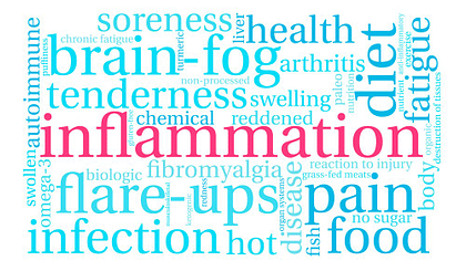 what foods increase inflammation